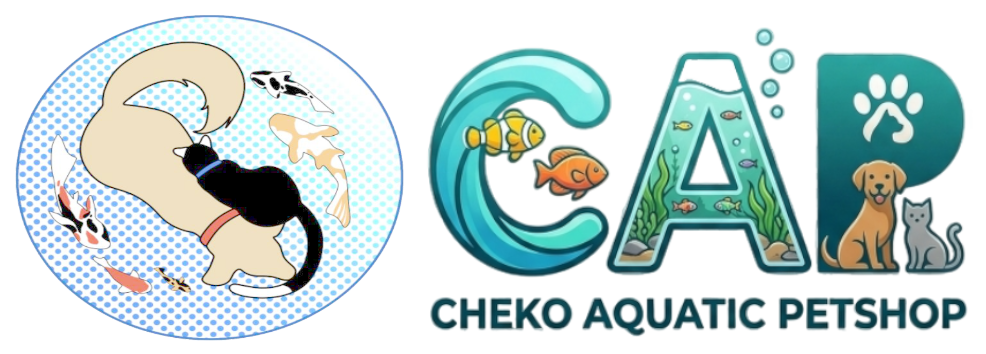 logo final
